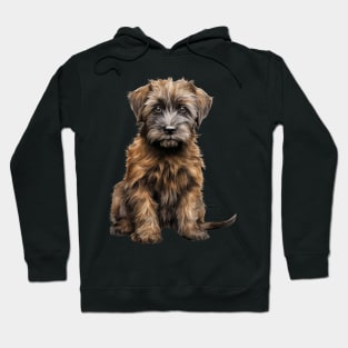 Puppy Briard Hoodie